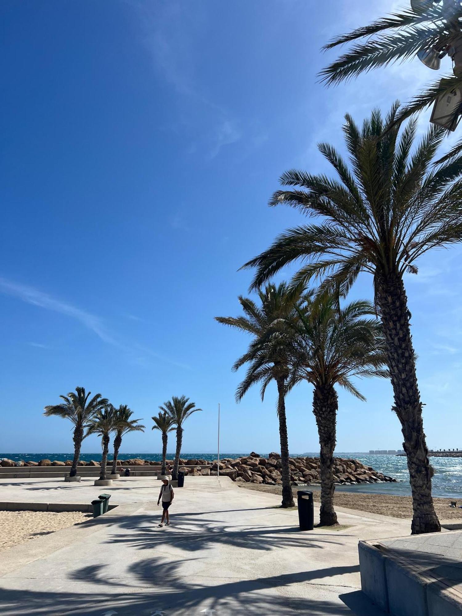 Appartement Torrevieja Alicante Экстерьер фото
