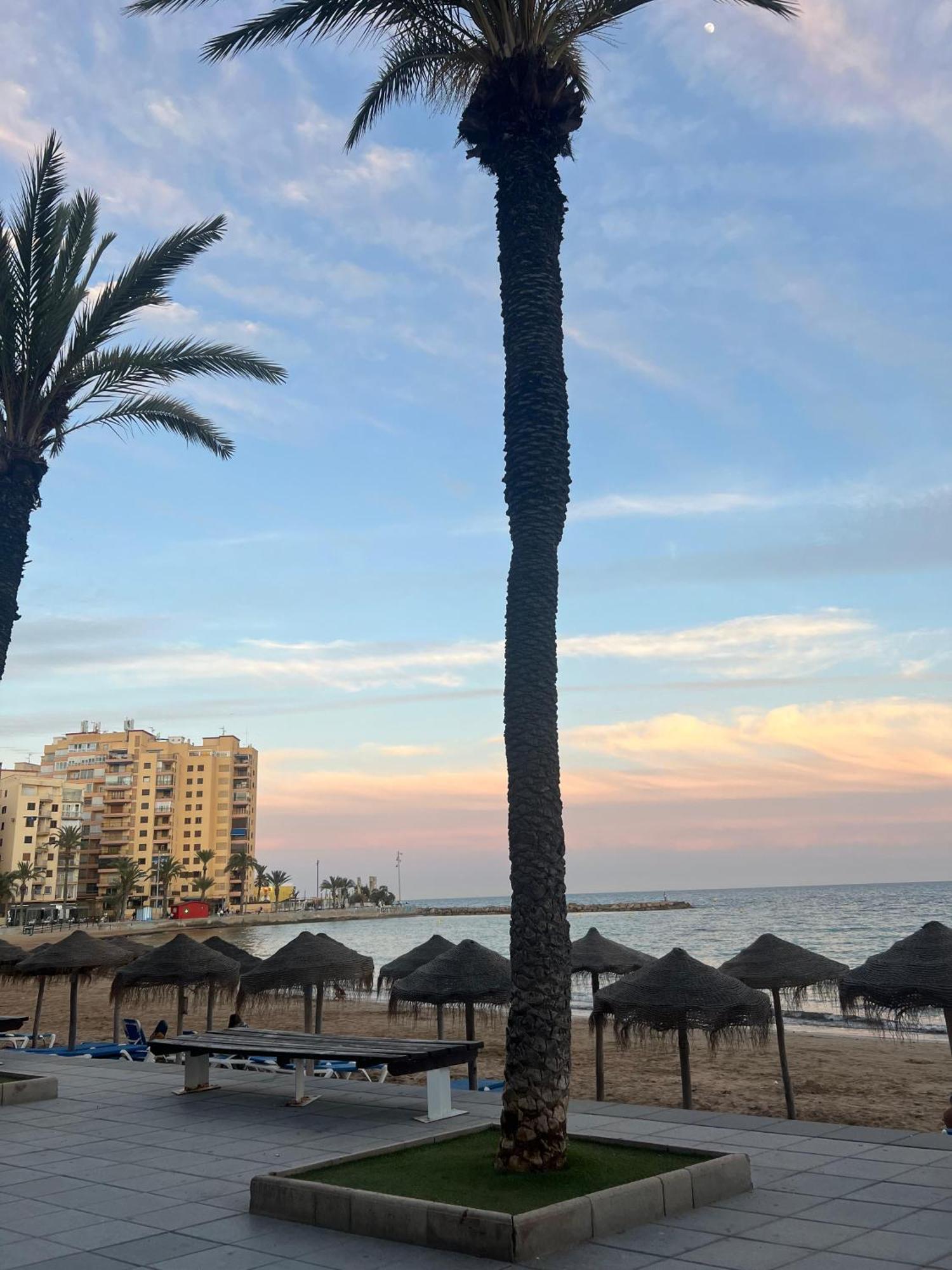 Appartement Torrevieja Alicante Экстерьер фото