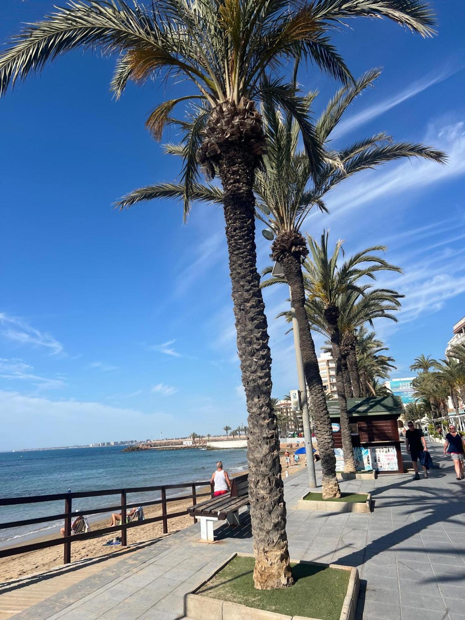 Appartement Torrevieja Alicante Экстерьер фото